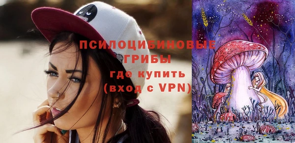ГАЛЛЮЦИНОГЕННЫЕ ГРИБЫ Бронницы