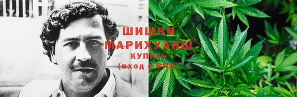 ГАЛЛЮЦИНОГЕННЫЕ ГРИБЫ Бронницы
