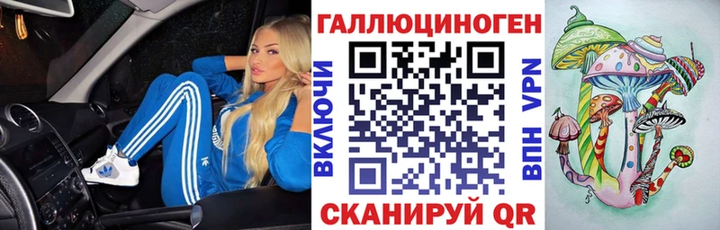 Купить закладки  Ветлуга  Галлюциногенные грибы Psilocybe 